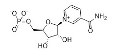 Weißer Körper 99% Nikotinamid-Monokleotid-Cas Nos 1094-61-7