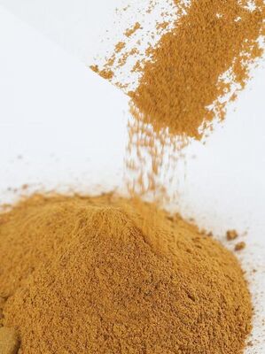 POLYDIHYDROXYINDOLE—Melamin