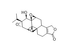 Weißes Pulver der Triptolide-API-Vermittler C20H24O6 Tripterygium 38748-32-2