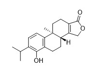 Triptophenolid Weiß bis Offweiß Pulver CAS Nr. 74285-86-2