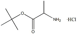 Tert-Butyl-L-Alaninat-Hydrochlorid CAS. 13404-22-3 Weiß bis Off-Weiß Pulver Reinheit 98% Schmelzpunkt 168-175 °C