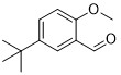 5-Tert-Butyl-2-OMebenzaldehyd CAS-Nr. 85943-26-6 Gelbpulver oder ölige Substanz 98% für Maropitan-Zwischenprodukte